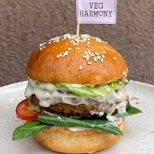 Healthy Бургер, Veg Harmony Cafe