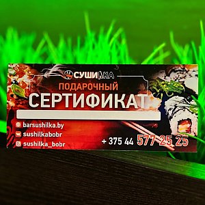 Подарочный сертификат на 100р, Сушилка - Бобруйск