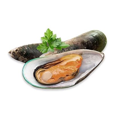 Заказать + мидии в питу, Сушилка - Бобруйск