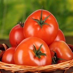 + томаты в питу, Сушилка - Бобруйск