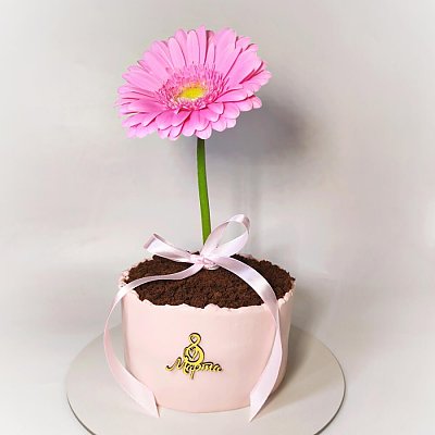 Заказать Торт с живыми цветами Гербера, Ms Candy