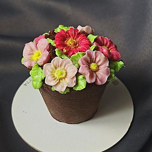 Пирожное Горшочек с цветами, Маришкейк