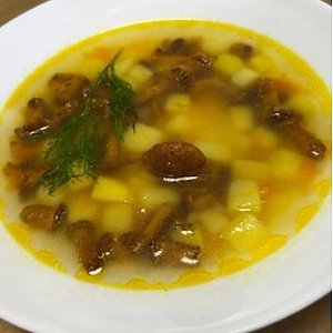 Грибной суп с лисичками и сметаной, Буржуйка