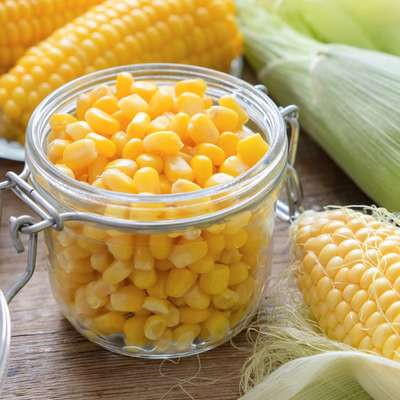 Заказать + кукуруза в пиццу, Pizza Gold