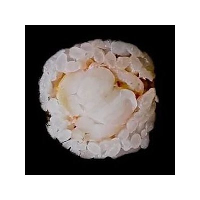 Заказать Ролл Креветка мини, 69 Суши Пицца