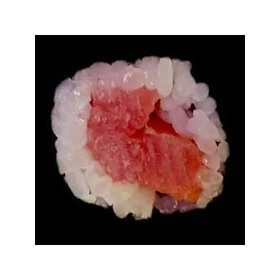 Заказать Ролл Тунец мини, 69 Суши Пицца