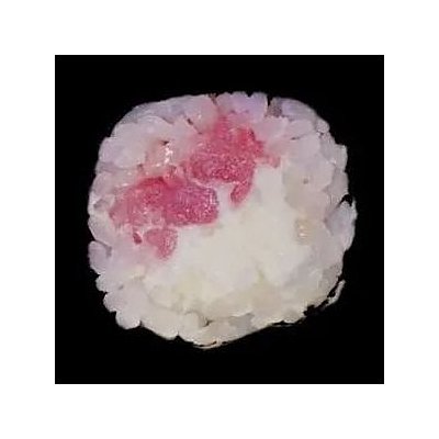 Заказать Ролл Тунец с сыром мини, 69 Суши Пицца