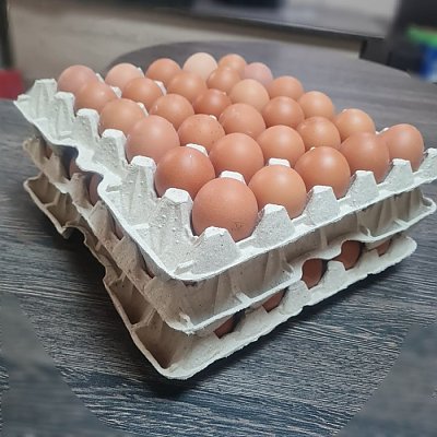 Заказать Яйцо С-1, Сытый Папа - Полуфабрикаты - Минск