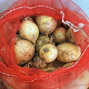 Лук (весовое), Сытый Папа - Полуфабрикаты - Минск