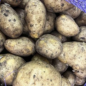 Картофель (весовое), Сытый Папа - Полуфабрикаты - Минск