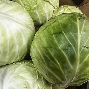Капуста (весовое), Сытый Папа - Полуфабрикаты - Минск