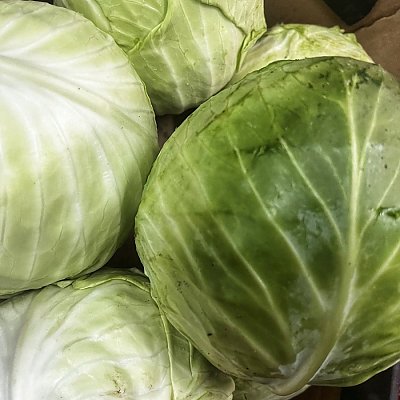 Заказать Капуста (весовое), Сытый Папа - Полуфабрикаты - Минск