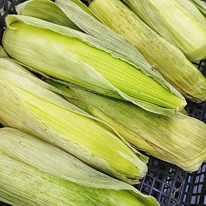 Кукуруза сладкая (весовое), Сытый Папа - Полуфабрикаты - Минск
