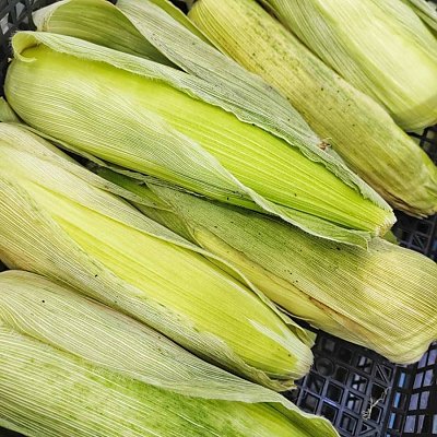 Заказать Кукуруза сладкая (весовое), Сытый Папа - Полуфабрикаты - Минск