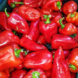 Перец красный (весовое), Сытый Папа - Полуфабрикаты - Минск