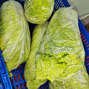 Капуста пекинская (весовое), Сытый Папа - Полуфабрикаты - Минск