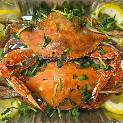 Заказать Азиатский голубой краб, Ежик