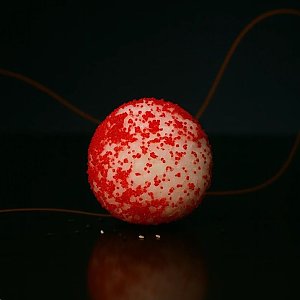 Темари с жареным лососем, RollBerry