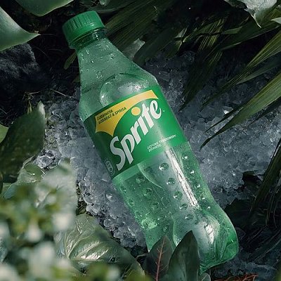 Заказать Спрайт 0.5л, Ролл на стол