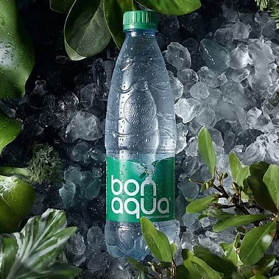 Заказать Бонаква среднегазированная 0.5л, Ролл на стол