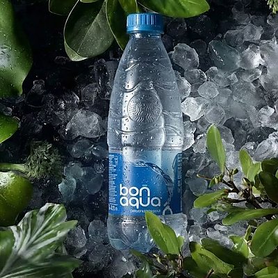 Заказать Бонаква сильногазированная 0.5л, Ролл на стол