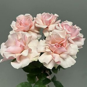 Букет из 5 роз, Вальс Цветов