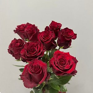 Букет из 9 красных роз, Вальс Цветов