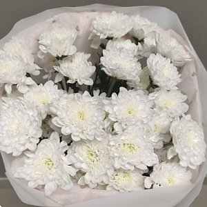 Букет из 5 хризантем, Вальс Цветов