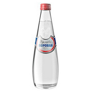 Боровая газированная 0.33л, Библиотека