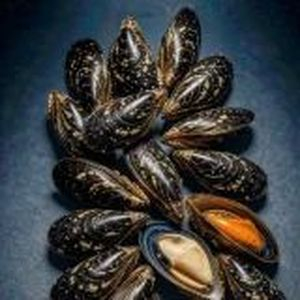 + мясо мидий в роллы, Море Суши