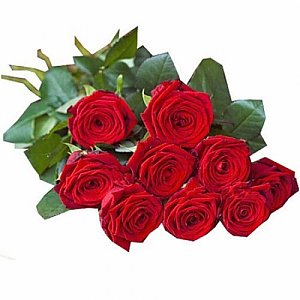 Букет 9 красных роз, ANIROSES