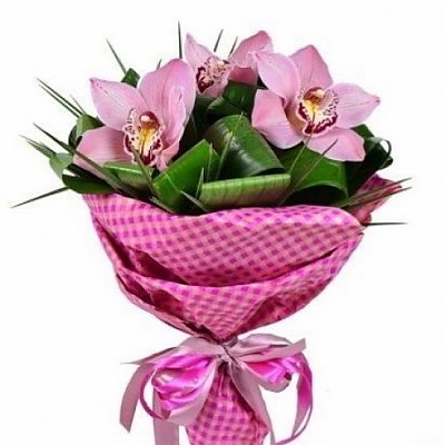 Заказать Букет цветов Орхидеи, ANIROSES