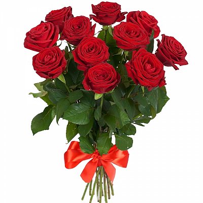 Заказать Букет 11 красных роз, ANIROSES
