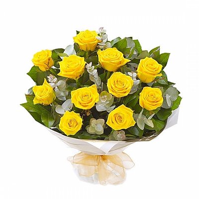 Заказать Букет 11 желтых роз, ANIROSES