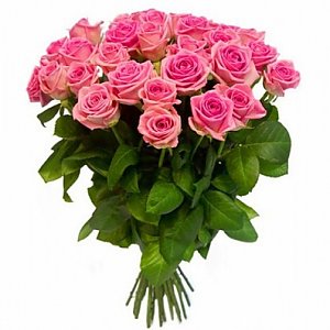 Букет 25 розовых роз, ANIROSES