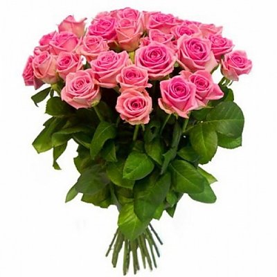 Заказать Букет 25 розовых роз, ANIROSES