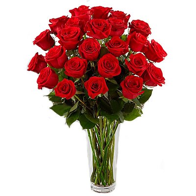 Заказать Букет 25 красных роз, ANIROSES