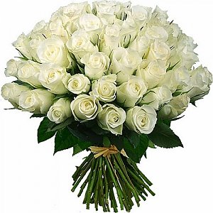 Букет 51 белая роза №2, ANIROSES