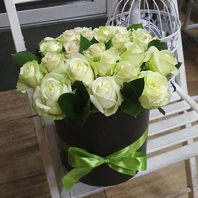 Заказать Коробка Фисташковый Пломбир, ANIROSES