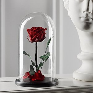 Роза в колбе красная Premium 27см, ANIROSES