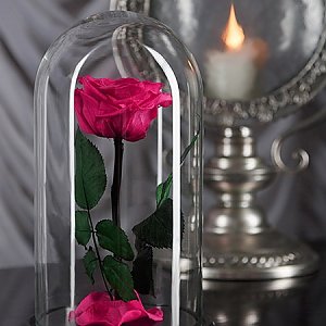Роза в колбе розовая Premium 27см, ANIROSES