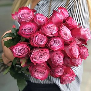 Роза фиолетовая 50см, Незабудка - Витебск