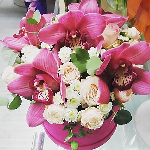 Шляпная коробка с орхидеями, Незабудка - Витебск