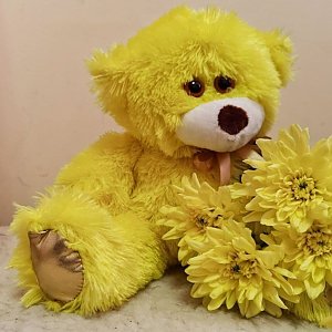Мягкий медведь 30см желтый, Незабудка - Витебск