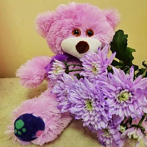 Мягкий медведь 30см фиолетовый, Незабудка - Витебск