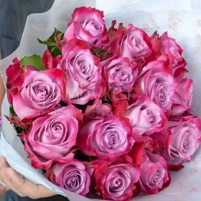 Заказать Букет из 15 фиолетовые роз, Незабудка - Витебск
