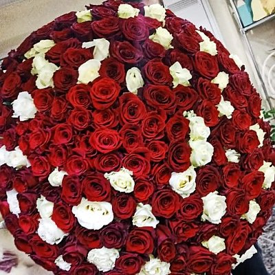 Заказать Букет 201 роза, Незабудка - Витебск