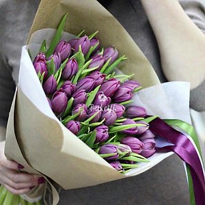 31 яркий-фиолетовый тюльпан, Buketti