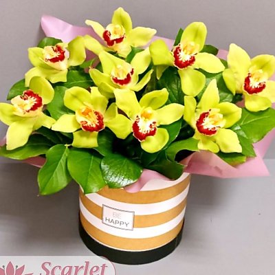 Заказать Шляпная коробка с орхидеями, Scarlet Flower
