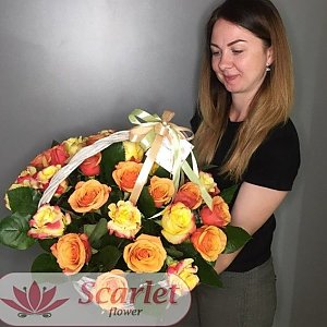 Корзина из чайных роз, Scarlet Flower